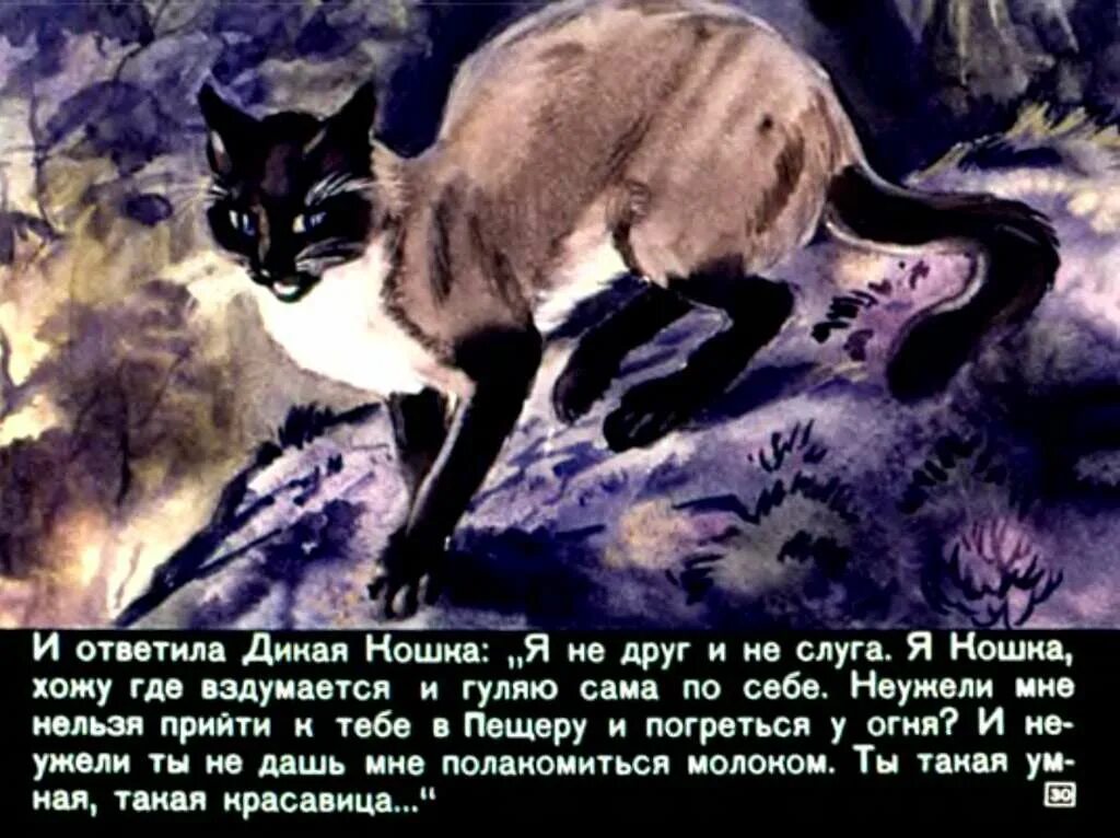 Редьярд киплинг кот который гулял сам по себе. Киплинг кот который гулял сам по себе. Р. Кошечка которая гуляет сама по себе. Киплинг кошка которая гуляла сама по себе.