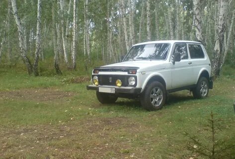 Нива новосибирская область