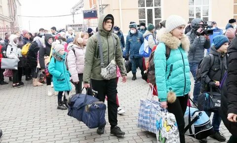 Беженцы количество