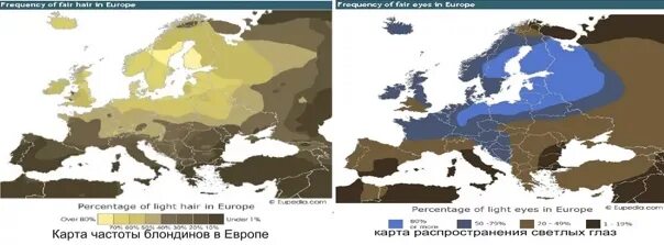Цвет глаз карта. Карта светлых волос. Карта распространения зеленых глаз. Цвет глаз карта. Карта цвета глаз в европе.