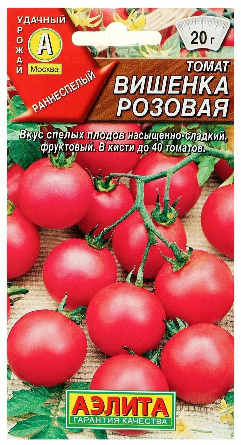 томат вишенка отзывы. томат черри вишенка. вишня черная томат аэлита. томаты, черри, аэлита черри. помидоры черри розовая вишенка.