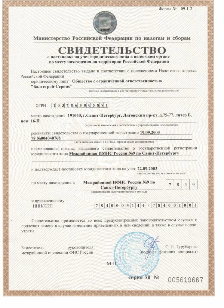 Как выглядит документ инн физического лица. Свидетельство о государственной регистрации юр лица как выглядит. Свидетельство огрнип. Свидетельство плательщика ндс. Документ имнс.