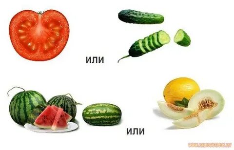 Тест дыня арбуз помидор