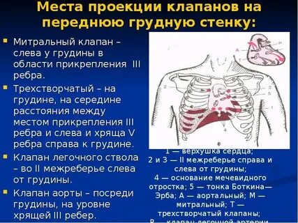 Почему колет левое ребро