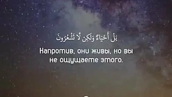 Чтецы корана сиратулло раупов. 2 152 коран. Фазкуруни сура. Сура аль бакара 152-157 аят. Сура 2 аят 155.