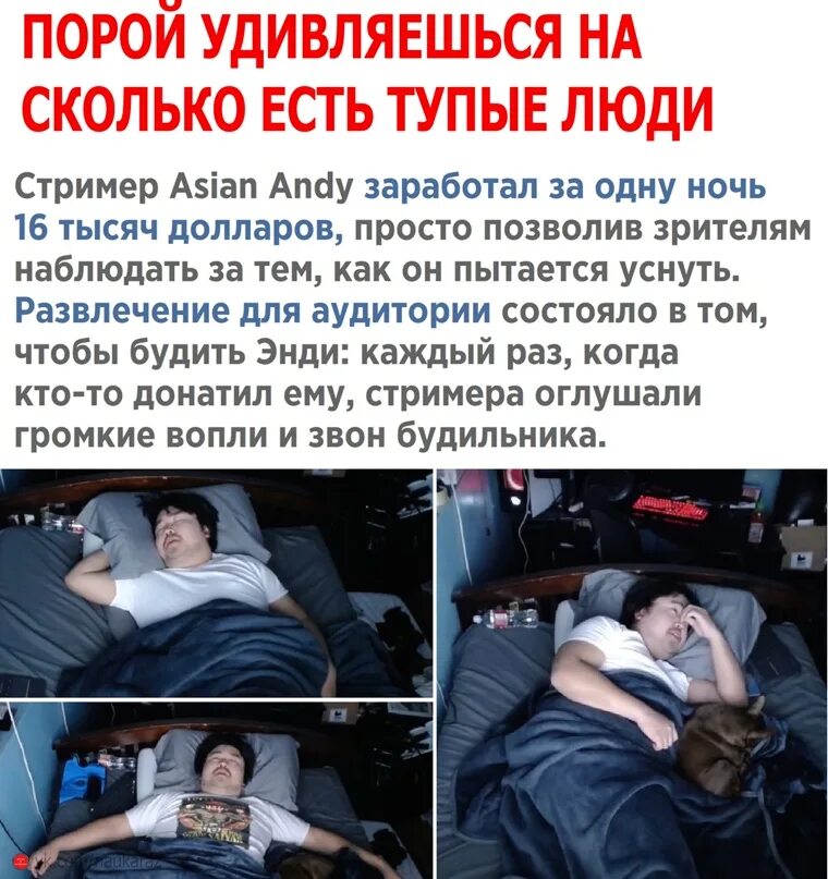 Спящий стример. Зарабатывать когда спишь. стример за ночь заработал 16 000.