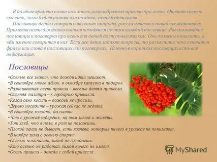 Сочинение на тему прогулка в парке