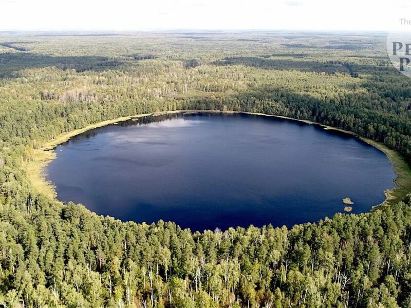 Это озеро было огромным. Озеро Смердячье. Круглое озеро Брянск. Смердячье озеро Шатура. Брянский лес озеро круглое.