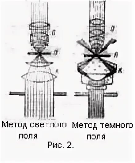 Метод темного поля в микроскопии. Микроскопия в проходящем свете. Метод светлого и темного поля в микроскопии. Метод светлого поля в световой микроскопии. Метод темного поля.