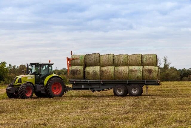 Апх х. Апх х. Апх х. Агрохолдинг ивнянский мираторг. Агрохолдинг савелич волгоград.
