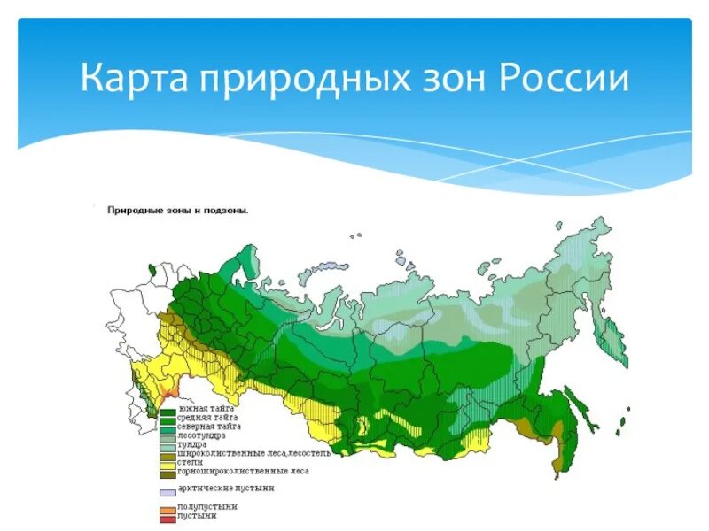 Наибольшая площадь природной зоны в россии. Карта природных зон. Карта зон России. Природные зоны России карта 8 класс. Карта природных зон России с Крымом.