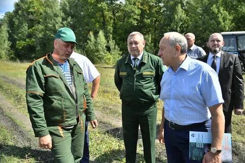 Саратовское областное лесничество