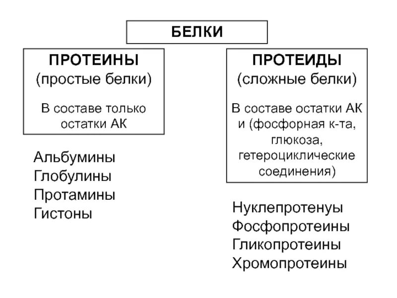 Белки относятся к уровню. Белки протеины и протеиды схема. протеины примеры белки. белки протеины и протеиды таблица. проситые ми сложные белки.