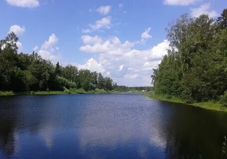 Вода солнечногорск