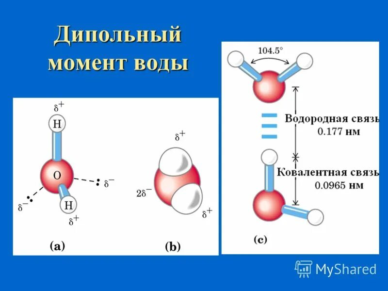 Молекуле кислорода двойная связь