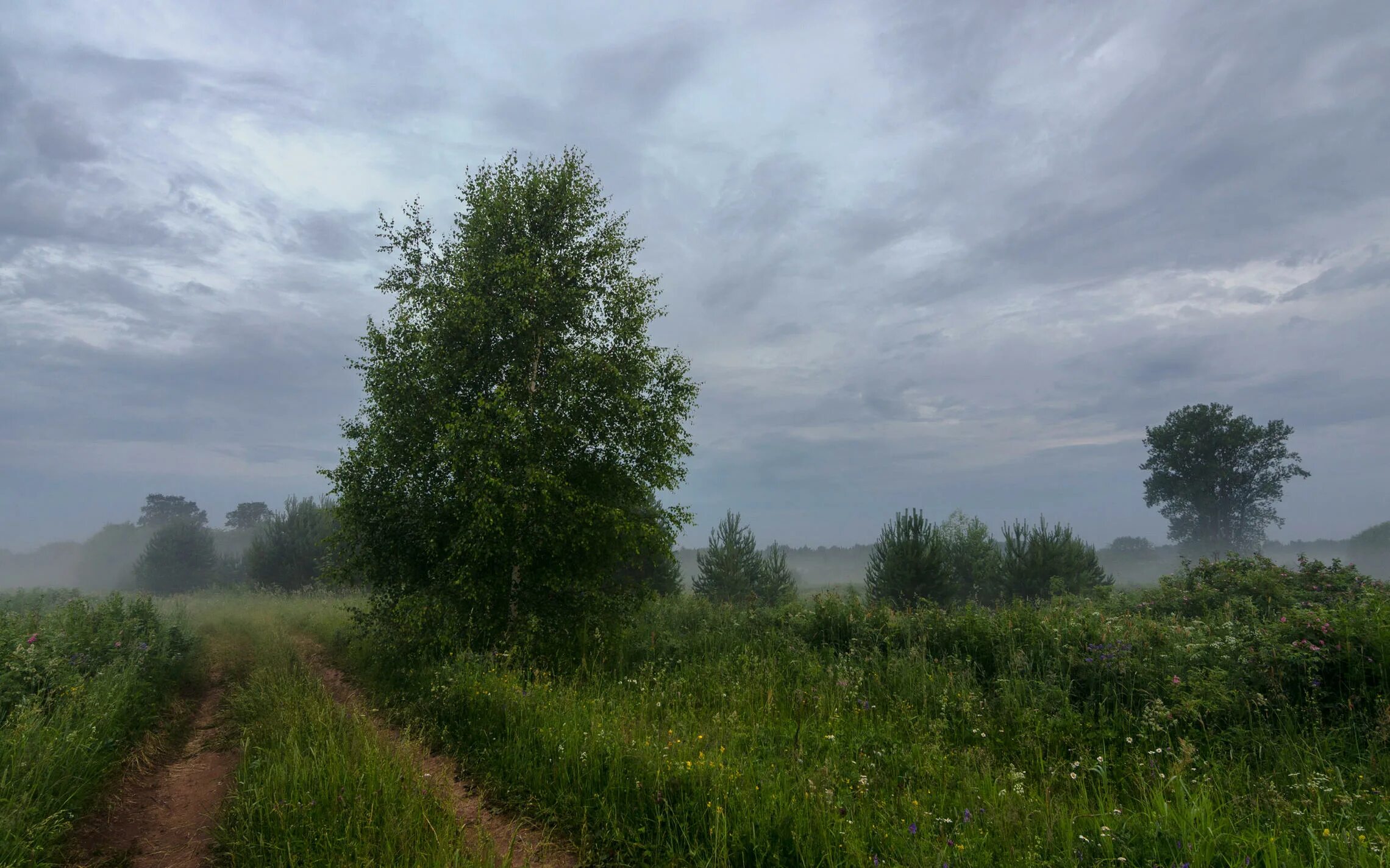 Ночной пейзаж. Летом ночь короткий. Короткая летняя ночь. Коротка летняя ночь. Летняя ночь.