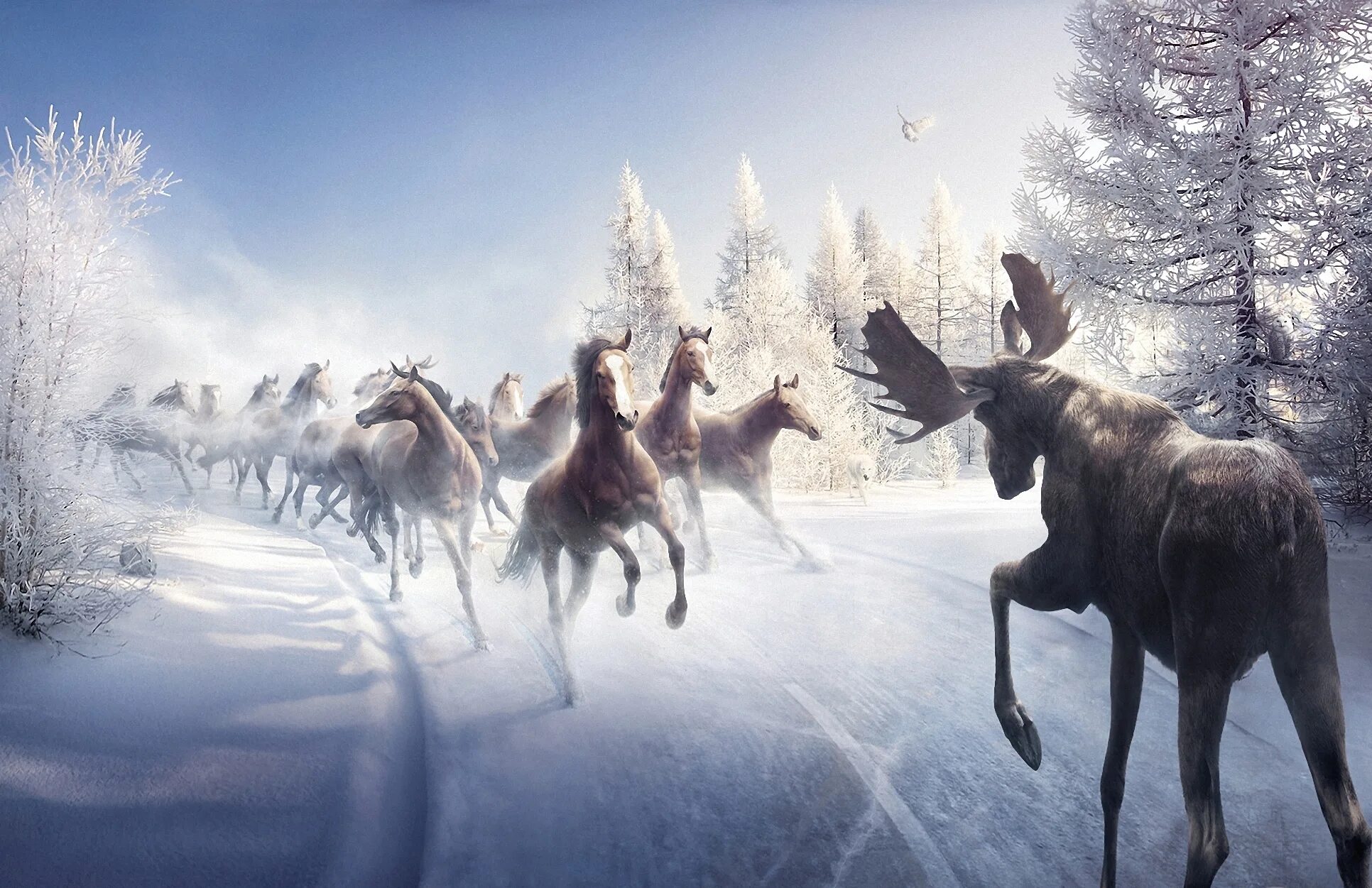 Год лошади животных. Олень в зимнем лесу. Лошади зимой. Звери в зимнем лесу. Снежный олень.