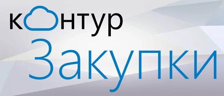 Контур закупки войти в личный. Контур закупки. Информация про сайт контур закупки. Контур закупки работа. Контур закупки обзор сервиса.