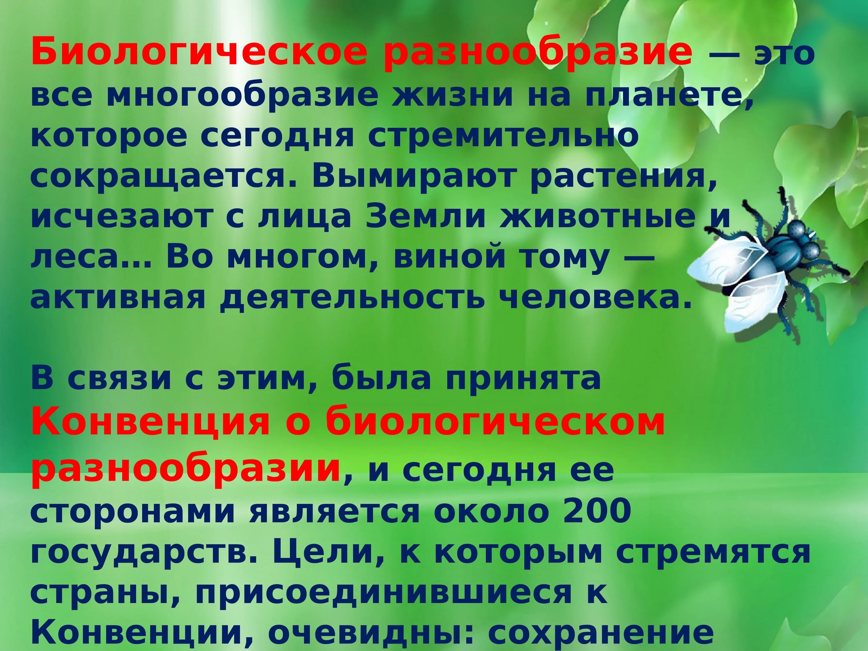 Биологическое разнообразие. Сохранение биологического разнообразия. Понятие биологического разнообразия. Биологическое разнообразие планеты. Биоразнообразие в экосистеме