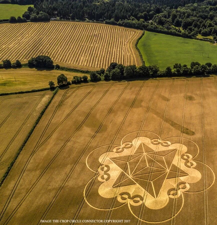 Уилтшир,,круги на полях. Круги на полях в Англии. Круги на полях 1960. Таинственные знаки на полях.