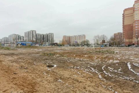 Деревня путилково 1