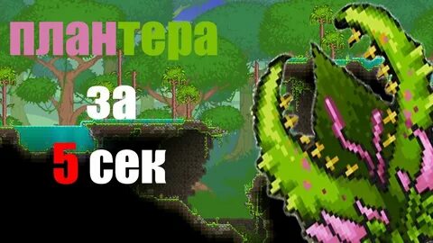 Плантеры бсс