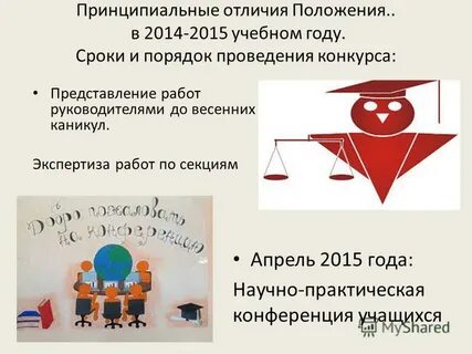 Отличие положения от закона