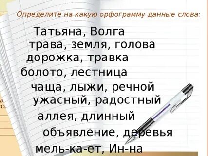 Травка какая орфограмма