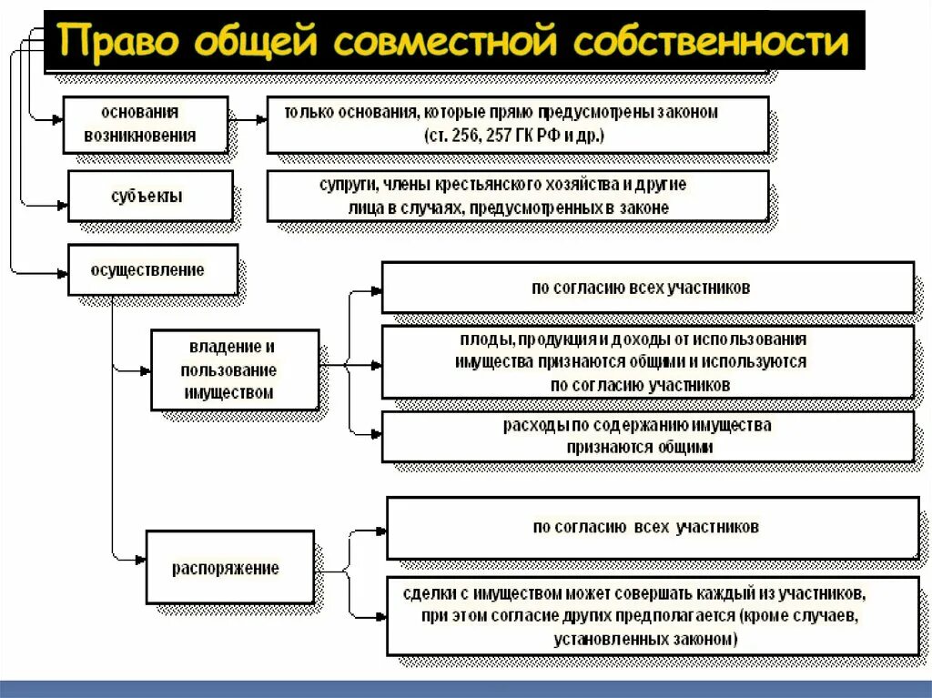 1 право общей совместной собственности