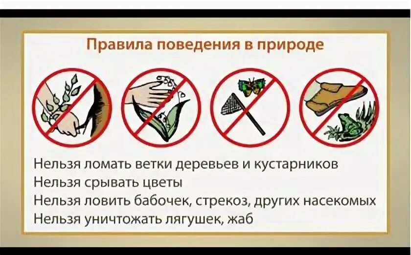 Правило бережного отношения к природе. Бережного отношения к природе. Правило отношения к природе. Что может сделать для защиты природы. Правило отношения к природе.