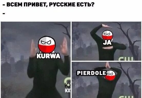 Поляк Мем. Мемы про Поляков курва. Говорит по польски Мем. Поляк пердоле. Pierdole kurwa перевод