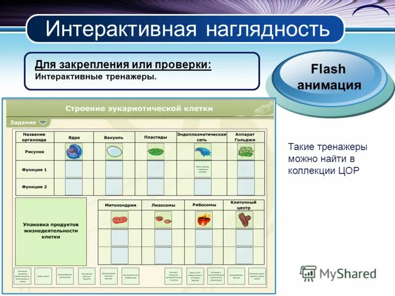 8 класс фгос уроки биологии. ЦОР тренажеры. Диалоговый тренажер. Интерактивная наглядность. Интерактивные модели по биологии.