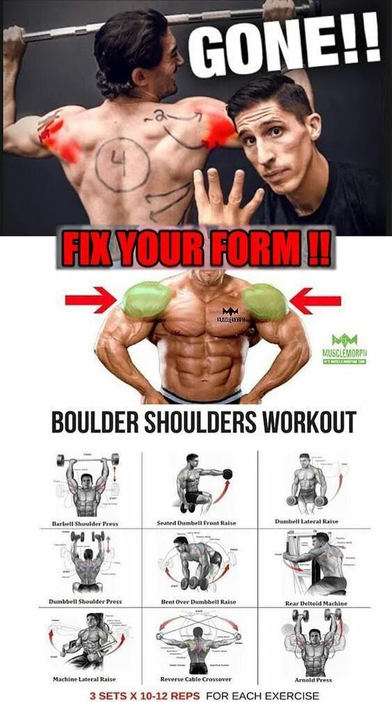 Shoulder boulders от s3rl. Ultimate muscle mass builder. Разминка плеч фото. Lateral raises which muscles are targeted. Рыцари в спортзале.