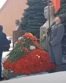 Цветы сталину сегодня