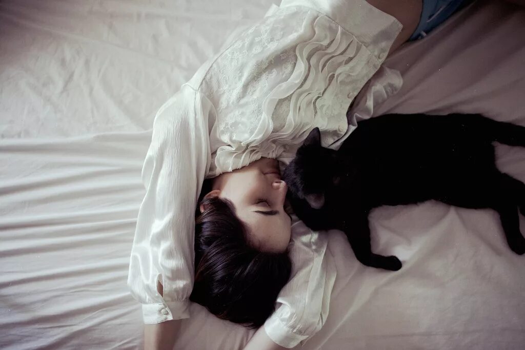 Девушка с котом на кровати. Девушка с аотом в постели. Кошка напала во сне к чему снится