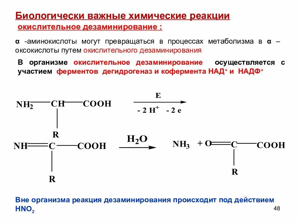 Реакция окислительного дезаминирования. Окислительно восстановительные свойства аминокислот. Биологически важные реакции аминокислот. Альфа аминокислоты биологически важные реакции аминокислот. Окислительное дезаминирование метионина реакция.