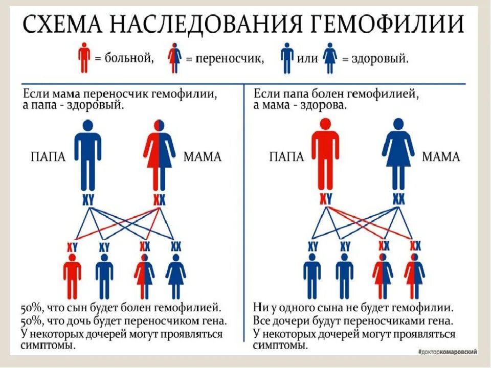 Схема наследования гемофилии. Гемофилия наследуется по типу. Гемофилия Тип наследования. Гемофилия генетика Тип наследования. Сторона мамы и папы