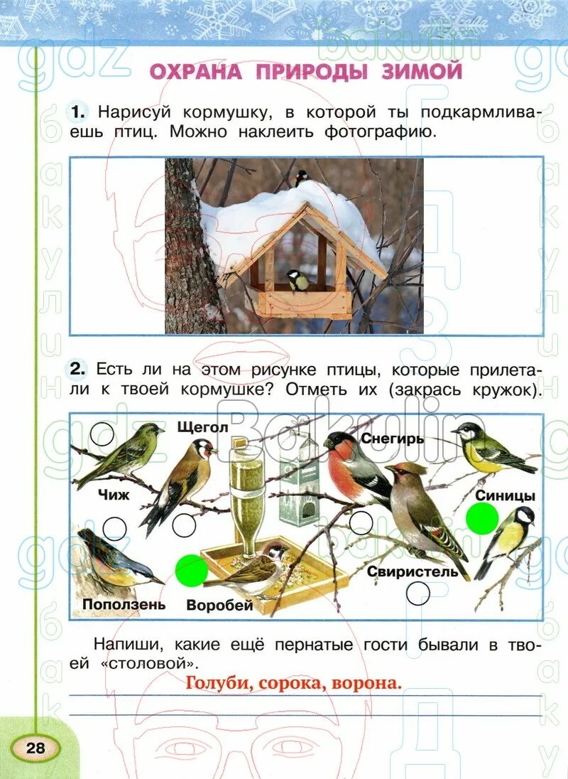 Гдз по окружающему миру 2 класс. Окружающий мир 2 класс рабочая тетрадь. Гдз окружающий мир 2 класс. Окружающий мир3ласс рабочая тетрадь 1 часть стр 54.