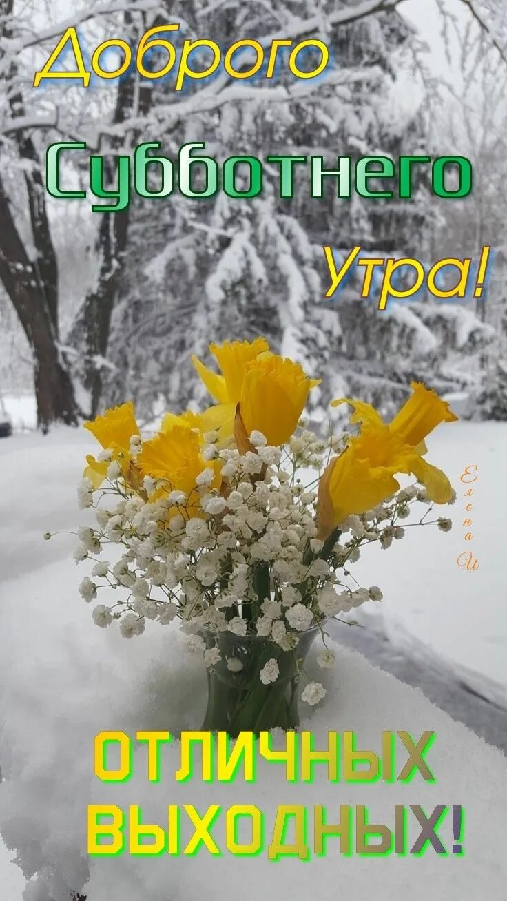 Доброе утро 28 августа 2024. Доброе утро 1 февраля. утро 28 февраля. с добрым утром 28 января. доброе январское утро 2023.