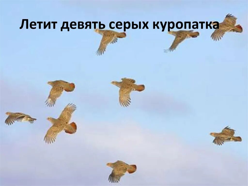 Лети 9. Лети 9