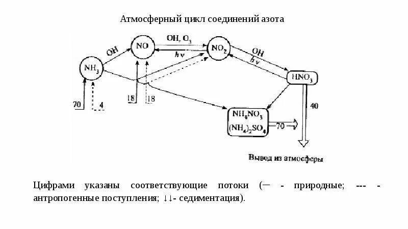Атмосферный цикл соединений азота. Схехема соединений для азота. Цикл с азотом соединение. Схема подключения азота.