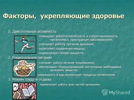 Факторы способствующие укреплению организма