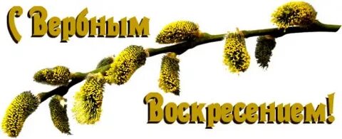 Дерево с именным воскресеньем