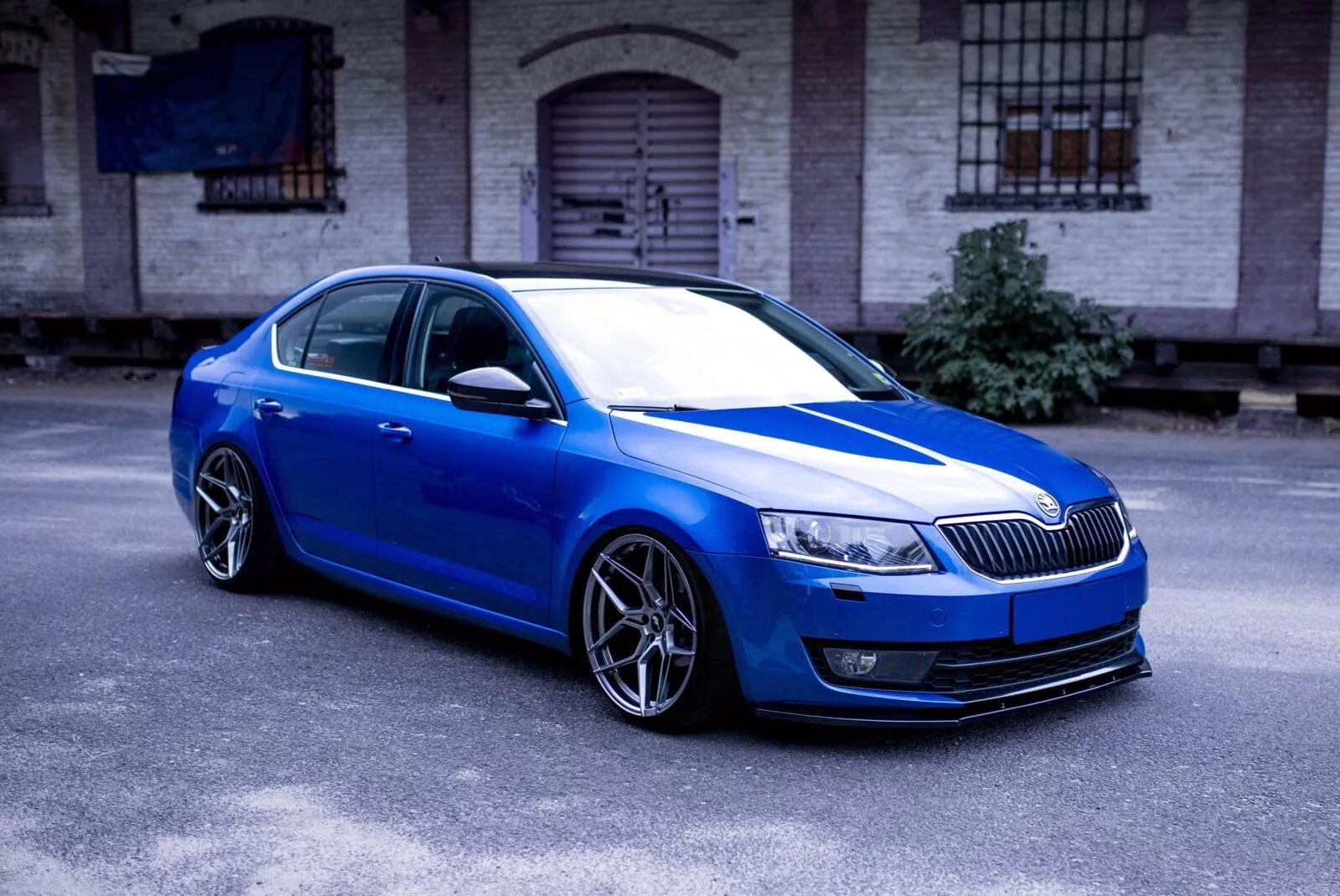 Octavia a7 тюнинг. Octavia a7. шкода октавия r19. skoda octavia a7 tuning. skoda octavia a8 r19.