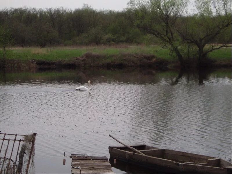 Терса Волгоградская область Еланский район. Большой Морец Еланского района Волгоградской области. Село Терса Еланского района Волгоградской области. Река Терса Волгоградская область.