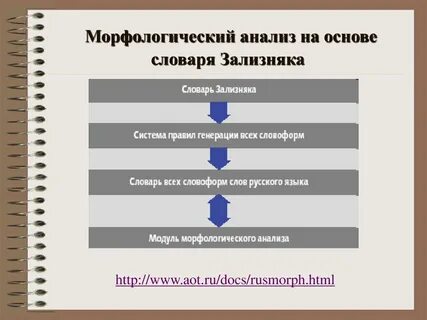 Морфологическая принадлежность