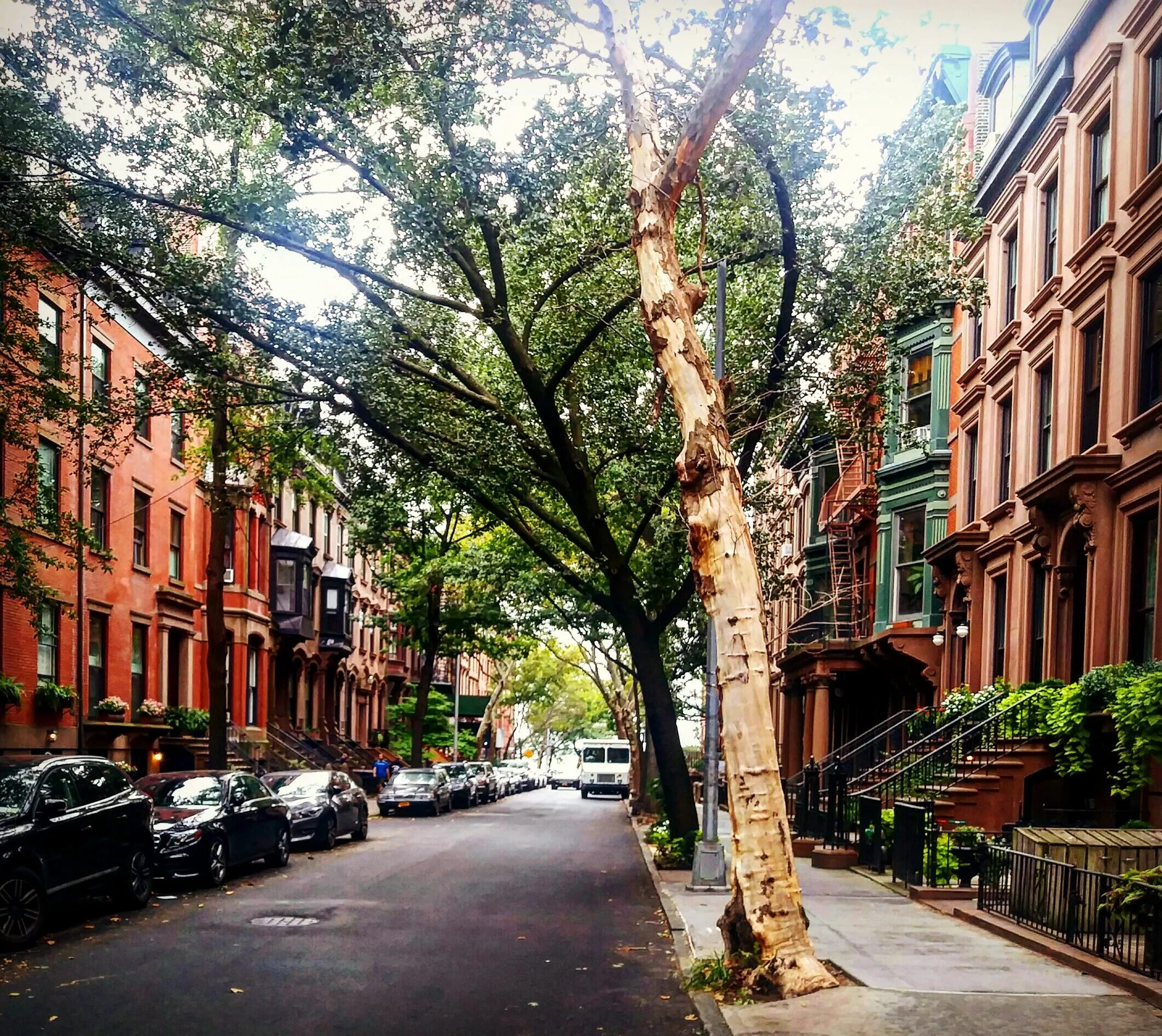 Бруклин район нью-йорка. New york улицы brooklyn. Нью-йорк бруклин улицы. Brooklyn street. Бруклин округ нью-йорк.