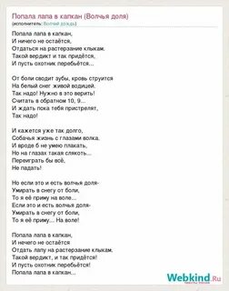 Текст песни зверя по следам любого