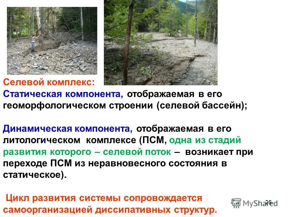 территория характеризующаяся интенсивным развитием селевых процессов