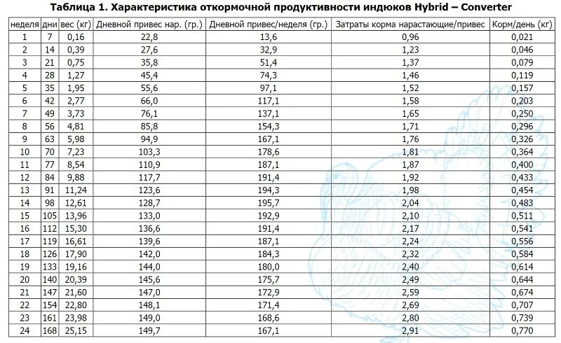 Хайбрид конвертер биг 6. Таблица веса индюков Хайбрид. Вес индюков Биг 6 по дням таблица таблица. Таблица прироста индюков Биг 6. Индюки Биг 6 таблица веса.